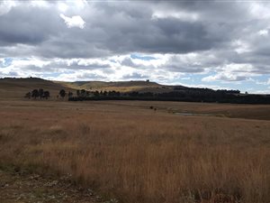 1.2 ha Land available in Dullstroom