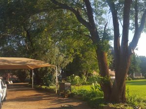 4.3 ha Farm in Bainsvlei