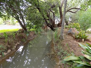 1.5 ha Farm in Groot Marico