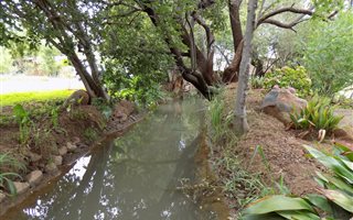 1.5 ha Farm in Groot Marico