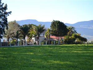 13.2 ha Farm in Swellendam