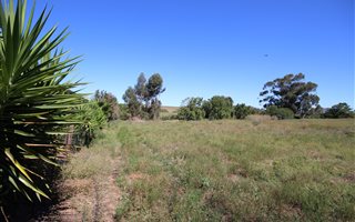 1207 m² Land available in Heidelberg