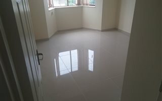 3 Bedroom Townhouse in Ferndale