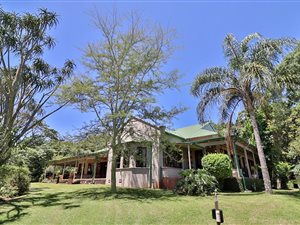 1.8 ha farm in White River