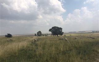 380 ha Farm in Heilbron