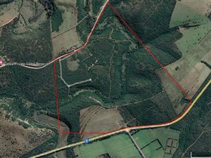 157 ha Farm in Grahamstown Central
