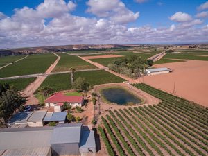 28 ha Farm in Vredendal