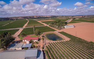 28 ha Farm in Vredendal