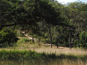 3 ha Farm in Nelspruit