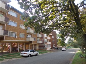 3 Bedroom Apartment in Bellevue