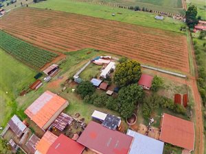 8.5 ha Farm in Waterval East