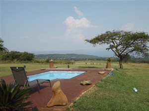 56.6 ha Farm in Barberton