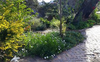 1946 m² Land available in Knysna Heights