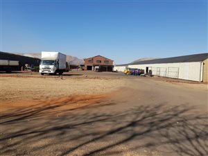 96.5 ha Farm in Skeerpoort