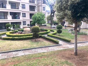 2 Bed Apartment in Noordwyk
