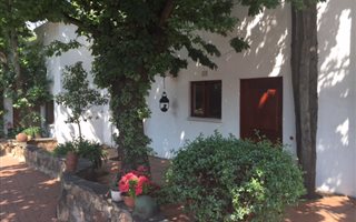 1 Bedroom Garden Cottage in Melrose North