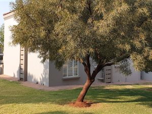 3 Bed Apartment in Ruimsig