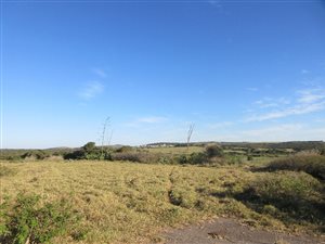 1038 m² Land available in Port Alfred