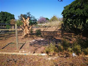 880 m² Land available in Kirkwood