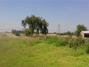2.4 ha Farm in Mooilande
