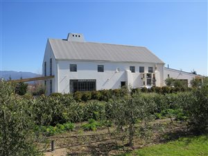 18 ha Farm in Grabouw