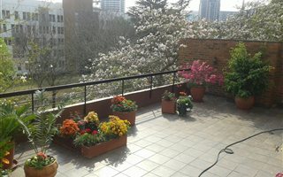 2 Bedroom Flat in Benmore Gardens