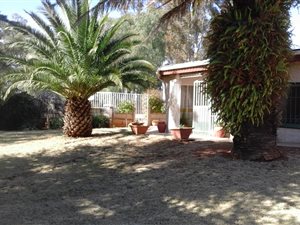 8933 m² Farm in De Deur