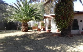 8933 m² Farm in De Deur