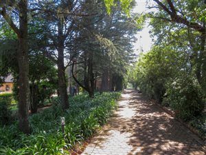 8 ha Farm in Honingklip AH