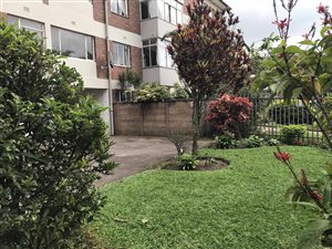 1 Bed Apartment in Pinetown Central