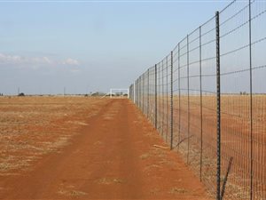 Game Farm in Lichtenburg