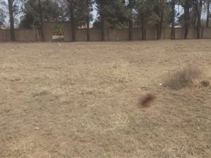 4 ha Land available in Lenasia
