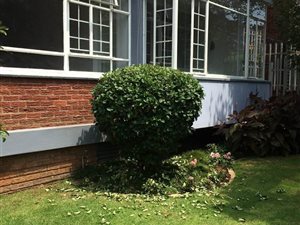 2 Bed Apartment in Illovo