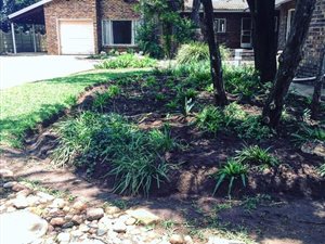 4 Bed House in Irene Park