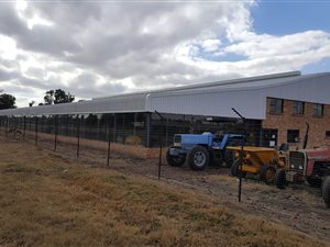 Industrial space in Delmas