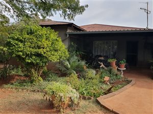 1700 m² Farm in Hillside AH