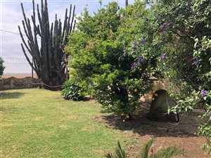 2 ha Farm in Sundra