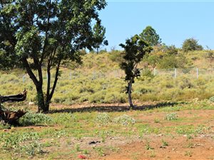 1963 m² Land available in Roodeplaat