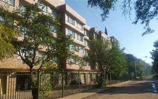 1 Bedroom Apartment in Sunnyside