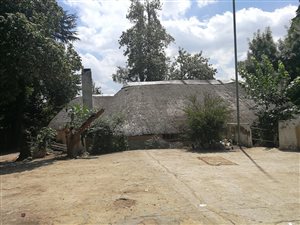 7 Bed House in Lyndhurst