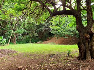 1396 m² Land available in Hibberdene