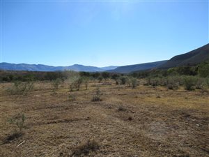 195 ha Farm in Fort Beaufort