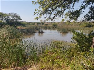 64.8 ha Farm in Empangeni