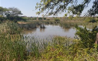 64.8 ha Farm in Empangeni