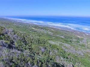 27.7 ha Land available in Beachview