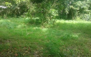 1118 m² Land available in Southport