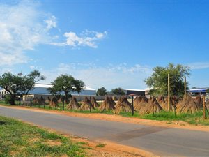 4193 m² Land available in Hoedspruit