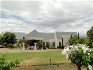 17 ha Farm in Northern Paarl