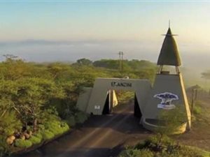 2547 m² Land available in Howick