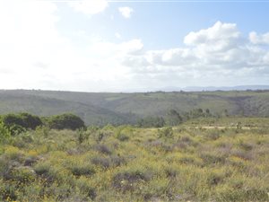 786 m² Land available in Plettenberg Bay